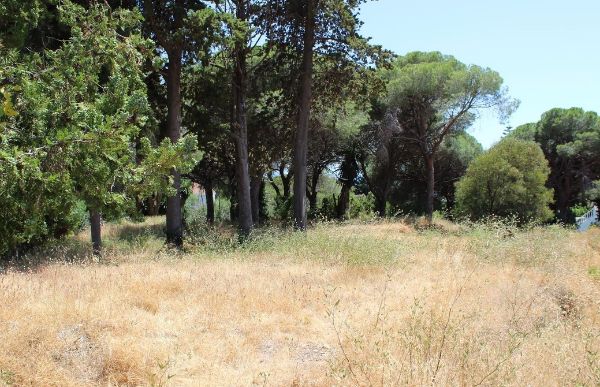 Elviria – Terreno Urbano / Ref.- ID-R3203992: Inmuebles de DreaMarbella Real Estate Elviria – Terreno Urbano / Ref.- ID-R3203992: Inmuebles de DreaMarbella Real Estate