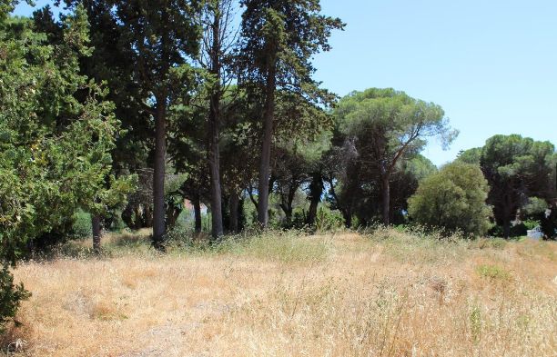 Elviria – Terreno Urbano / Ref.- ID-R3203992: Inmuebles de DreaMarbella Real Estate Elviria – Terreno Urbano / Ref.- ID-R3203992: Inmuebles de DreaMarbella Real Estate