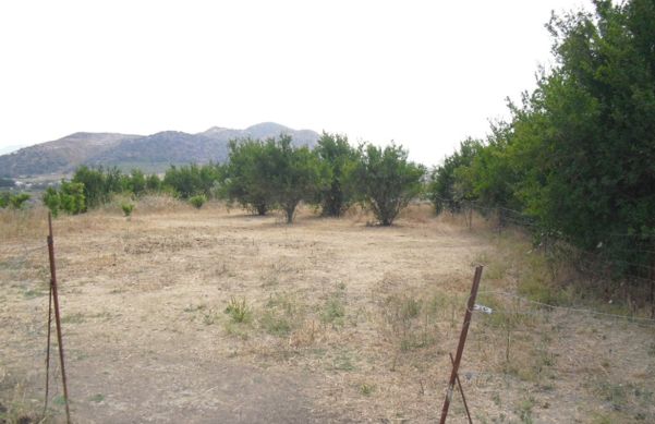 Alhaurín el Grande – Terreno Rustico / Ref.- ID-R2242520: Inmuebles de DreaMarbella Real Estate Alhaurín el Grande – Terreno Rustico / Ref.- ID-R2242520: Inmuebles de DreaMarbella Real Estate