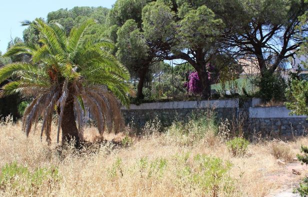 Elviria – Terreno Urbano / Ref.- ID-R3203992: Inmuebles de DreaMarbella Real Estate Elviria – Terreno Urbano / Ref.- ID-R3203992: Inmuebles de DreaMarbella Real Estate