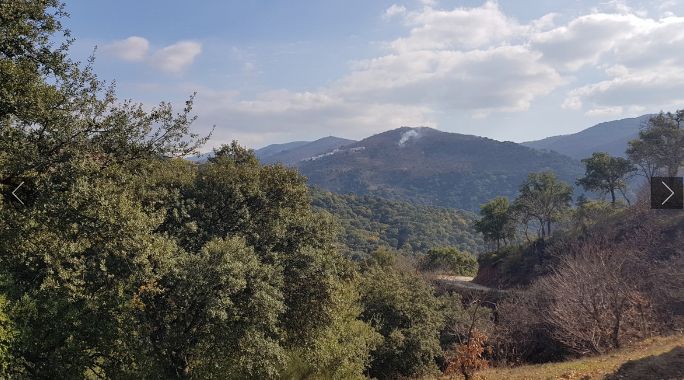 Ronda – Finca - Cortijo / Ref.- ID-R3351550: Inmuebles de DreaMarbella Real Estate Ronda – Finca - Cortijo / Ref.- ID-R3351550: Inmuebles de DreaMarbella Real Estate