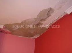 Reparación de goteras y los daños causados en pintura y escayola en bizkaia.