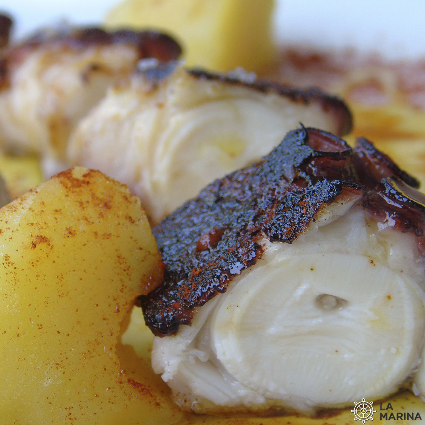 Pulpo Plancha Pulpo Plancha
