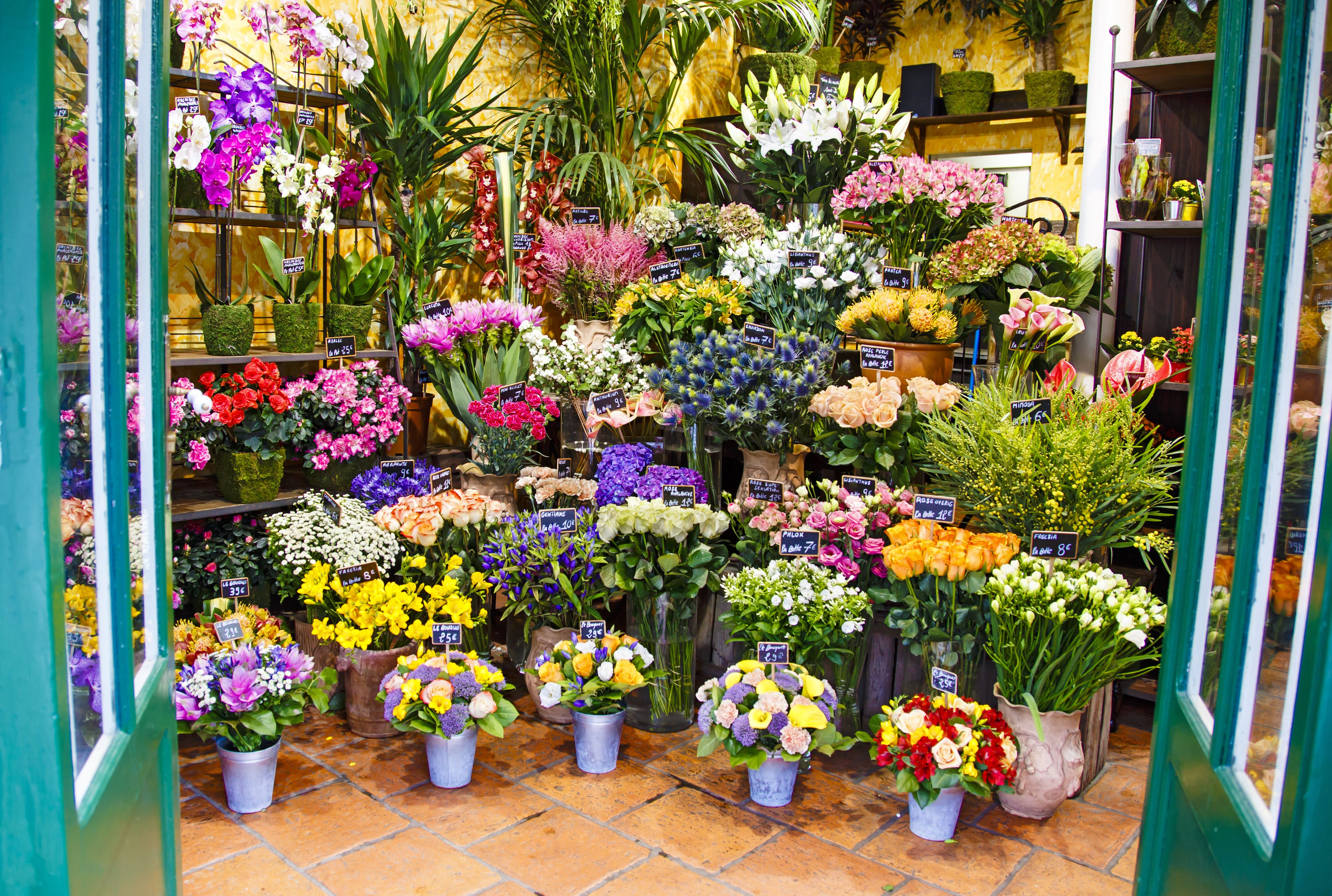 Ramos de flores