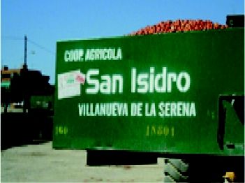 Foto 13 de Cooperativas en Villanueva de la Serena | Coop. Agrícola S. Isidro