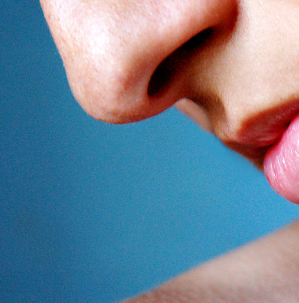 Nariz. Cirugía plástica nasal. Rinoplastia: Servicios de Clínica Dr. Javier Cerqueiro Cirugía Plástica Nariz. Cirugía plástica nasal. Rinoplastia: Servicios de Clínica Dr. Javier Cerqueiro Cirugía Plástica