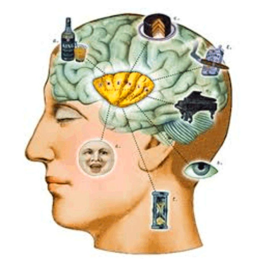 Adicciones: Terapias de Psicología y Psicoterapia - Dra. Inmaculada Jáuregui Adicciones: Terapias de Psicología y Psicoterapia - Dra. Inmaculada Jáuregui