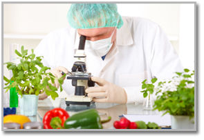 Análisis de las Propiedades de Los Alimentos Y Bebidas: Servicios de Asial Análisis de las Propiedades de Los Alimentos Y Bebidas: Servicios de Asial
