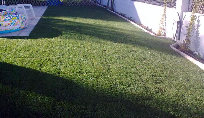 Jardines: Servicios de Bosque Urbano Jardines: Servicios de Bosque Urbano