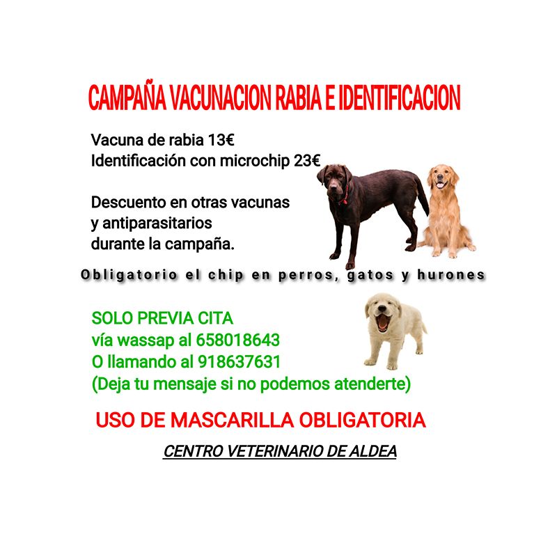 Campañas: Servicios de Centro Veterinario de Aldea Campañas: Servicios de Centro Veterinario de Aldea