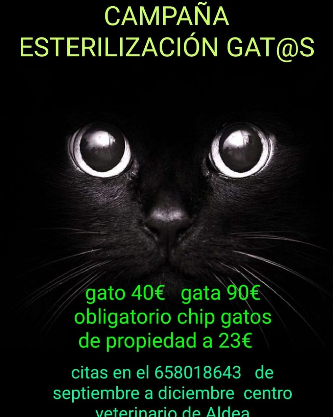Campañas: Servicios de Centro Veterinario de Aldea Campañas: Servicios de Centro Veterinario de Aldea