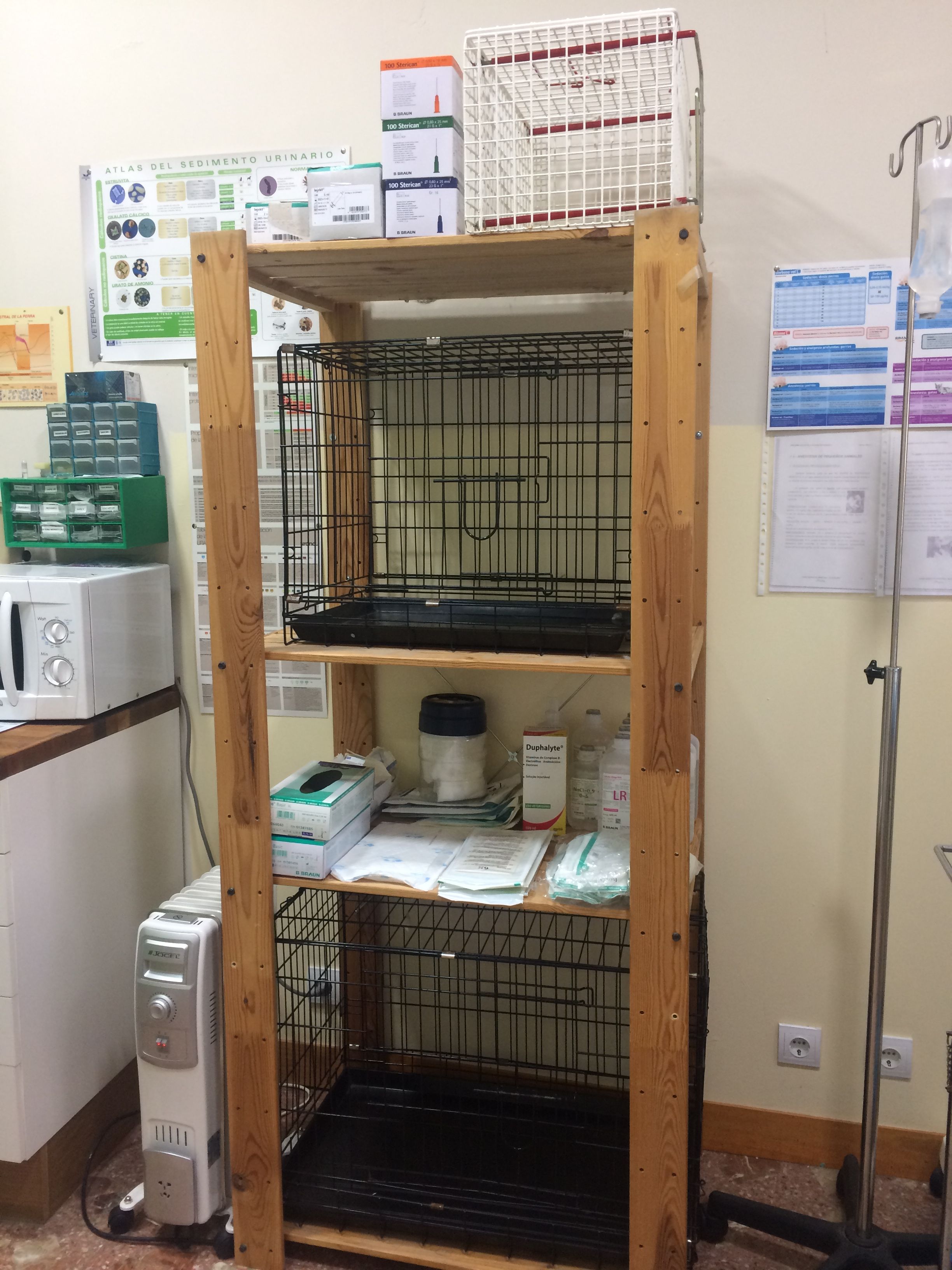 Hospitalización diurna postcirugía: Servicios de Centro Veterinario de Aldea Hospitalización diurna postcirugía: Servicios de Centro Veterinario de Aldea