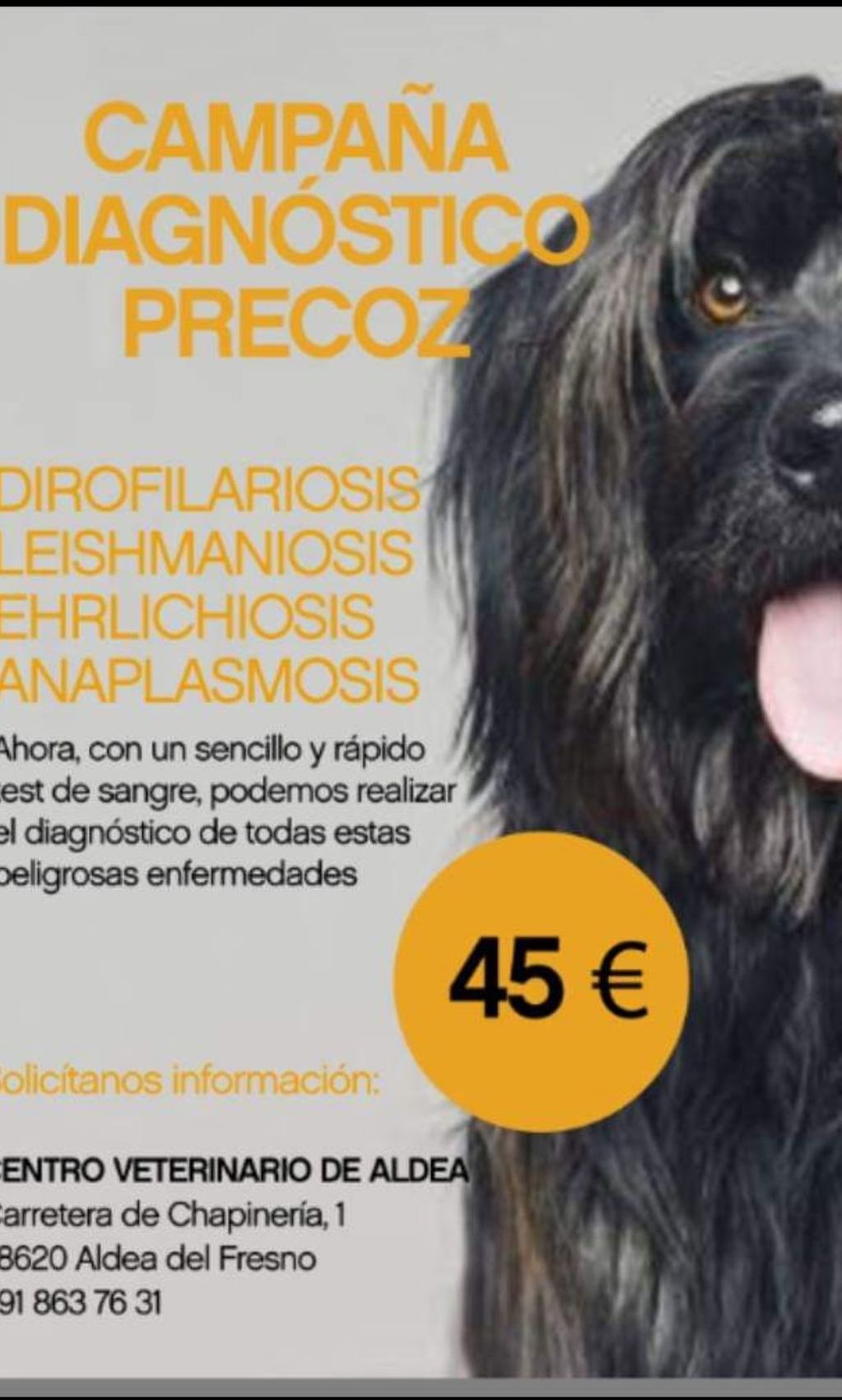 Campañas: Servicios de Centro Veterinario de Aldea Campañas: Servicios de Centro Veterinario de Aldea