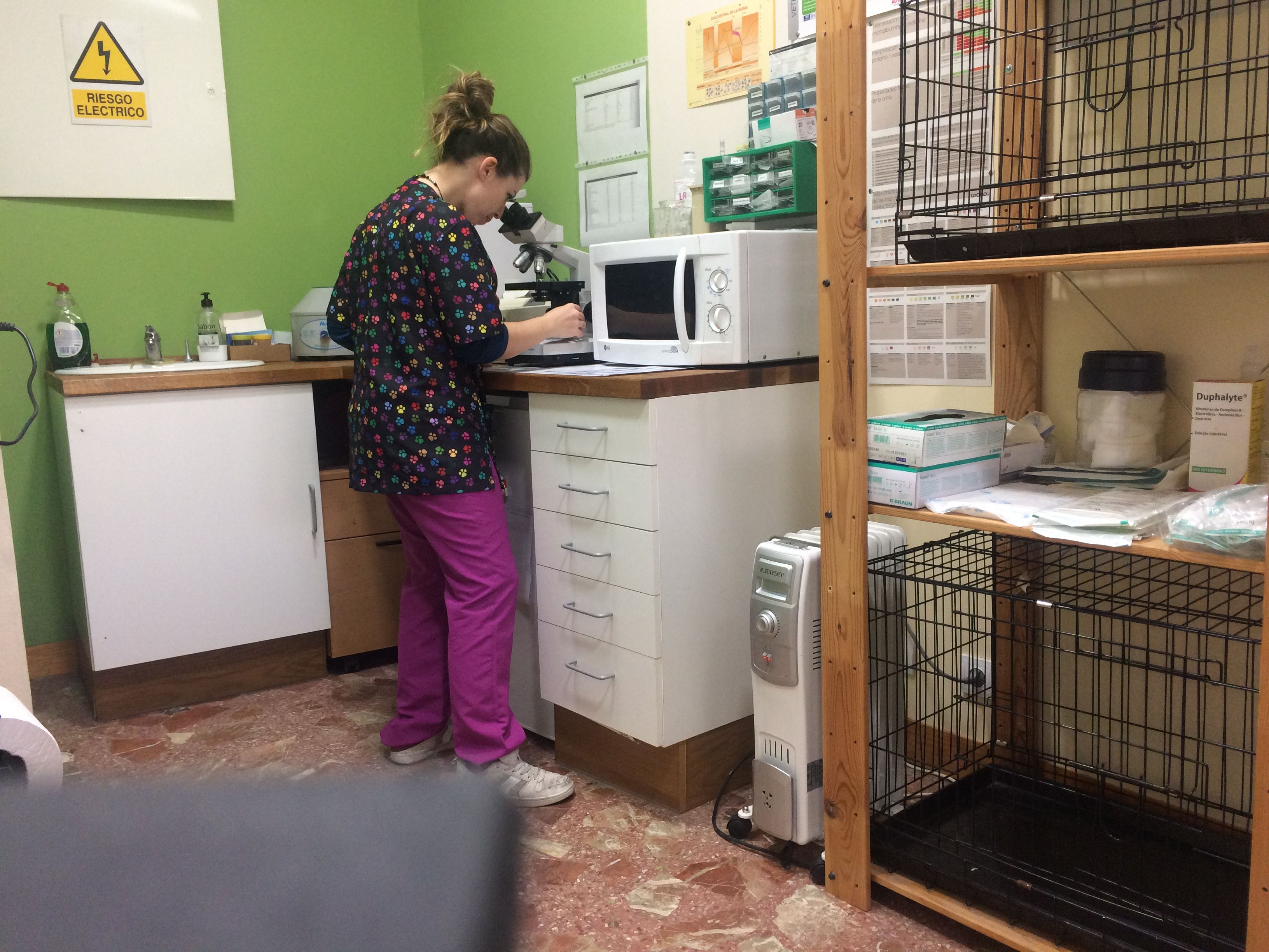 Consulta veterinaria en Aldea del Fresno
