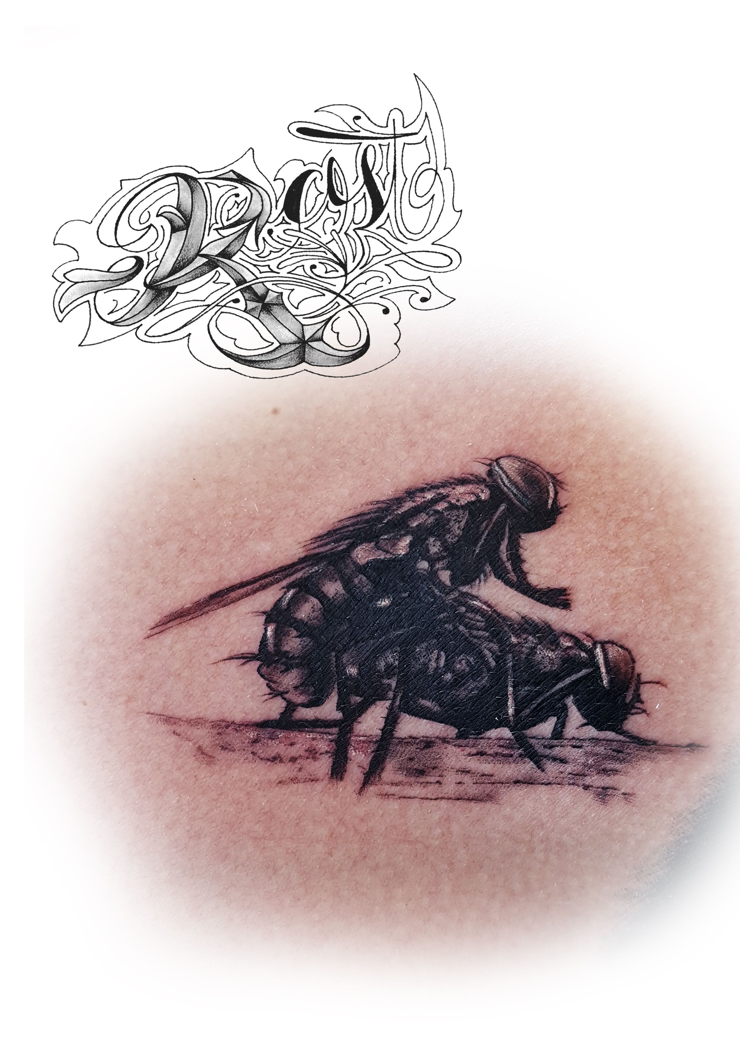 Tatuajes: ¿Qué hacemos? de Marca Sacra Tattoo Studio Tatuajes: ¿Qué hacemos? de Marca Sacra Tattoo Studio