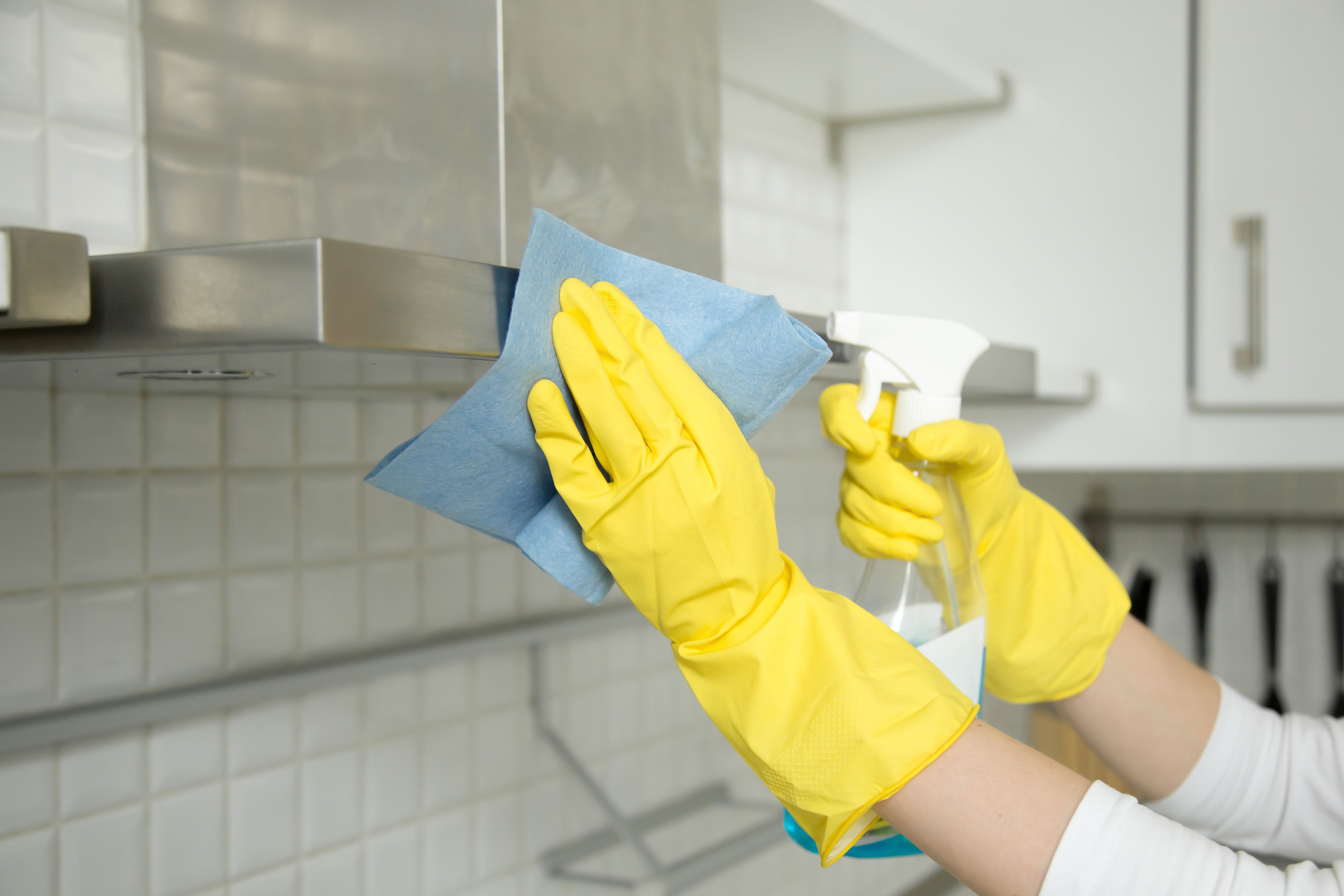 Servicios a domicilio: Servicios de Limpieza y Pintura Servicios a domicilio: Servicios de Limpieza y Pintura