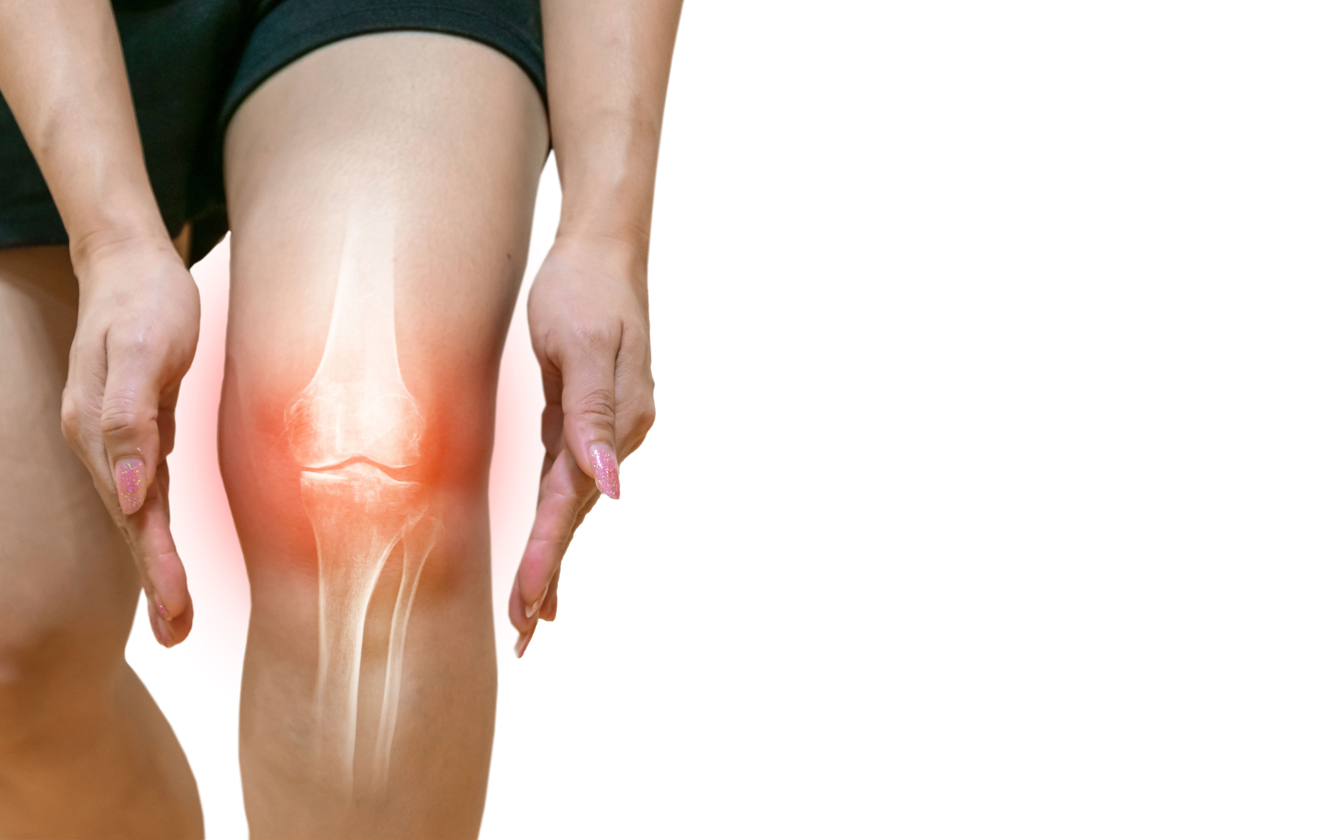 Medicina deportiva: Servicios de Ortoberri Medicina deportiva: Servicios de Ortoberri