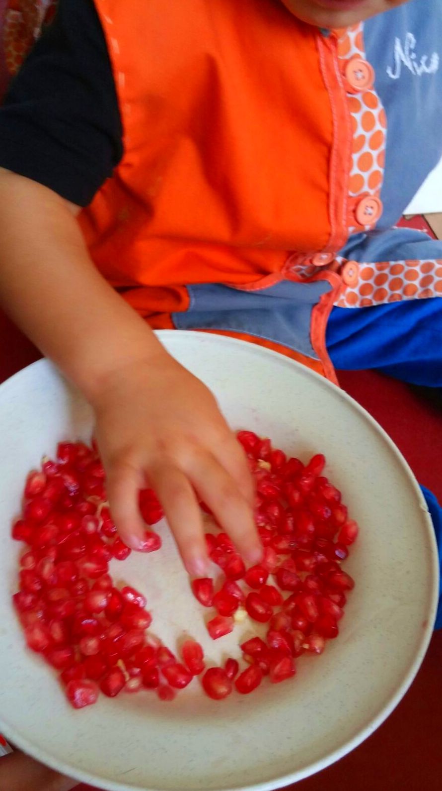 Cocina propia: Instalaciones y servicios de Escola Bressol Xerric Xerrac Les Franqueses y Granollers Cocina propia: Instalaciones y servicios de Escola Bressol Xerric Xerrac Les Franqueses y Granollers
