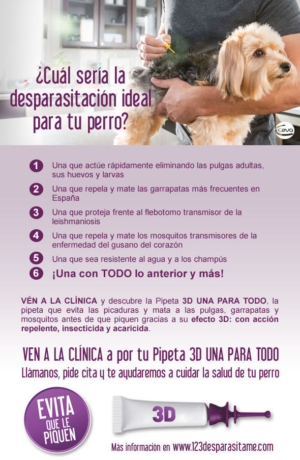La mejor desparasitación para tu perro La mejor desparasitación para tu perro