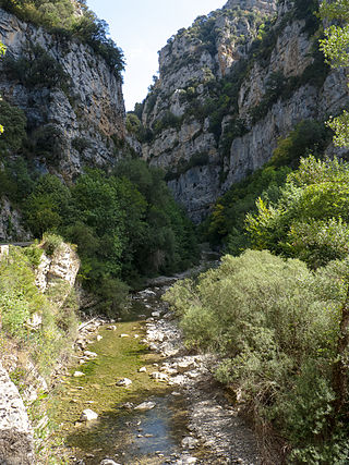 Turismo ornitológico: Servicios de La Casa del Arco Verde Turismo ornitológico: Servicios de La Casa del Arco Verde