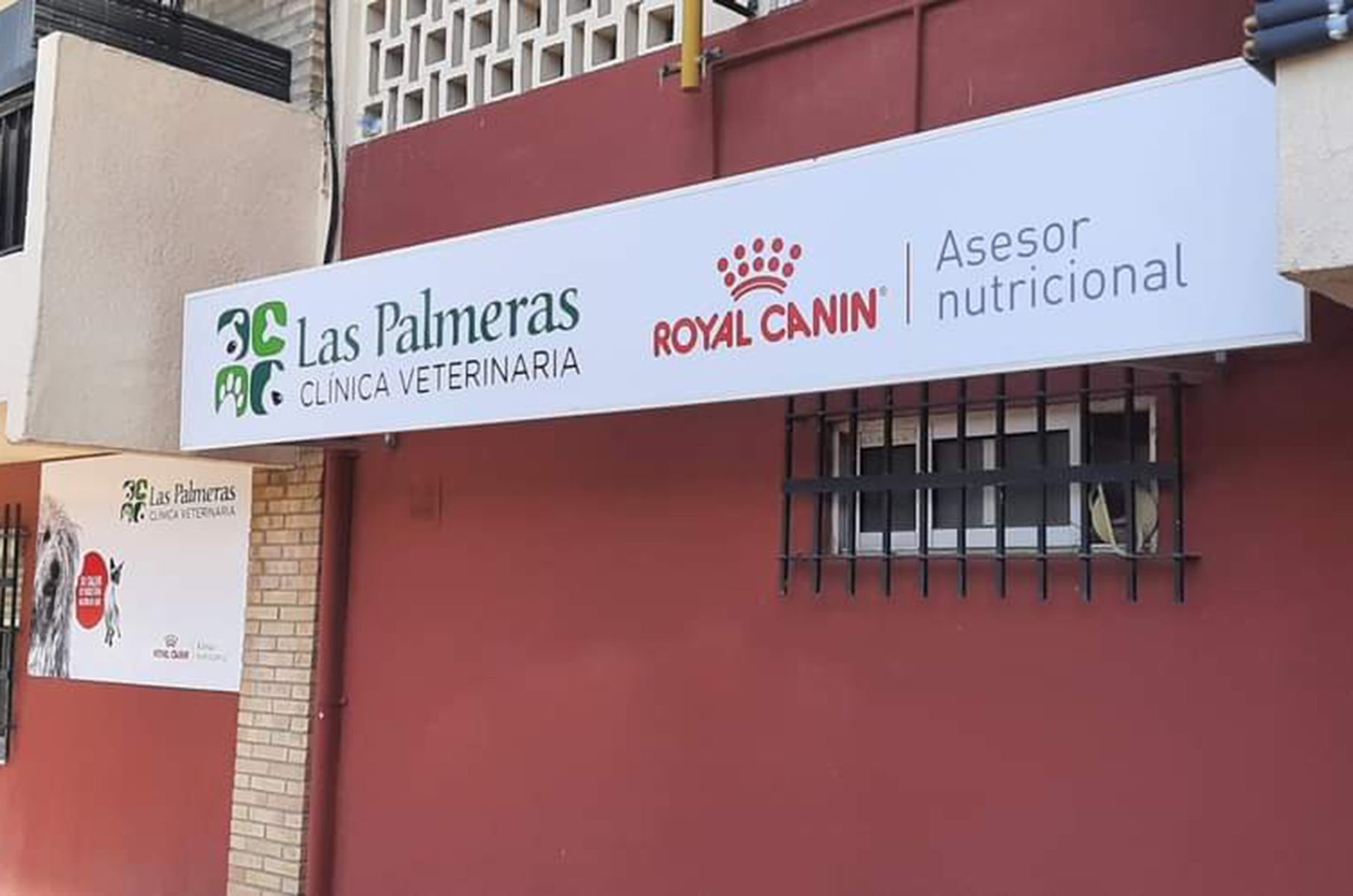 Cirugía veterinaria en Sevilla