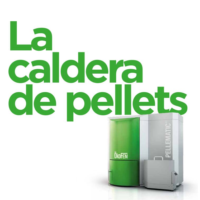 Calefacción con pellets de la marca Ökofen: Productos de Cadbioex Calefacción con pellets de la marca Ökofen: Productos de Cadbioex