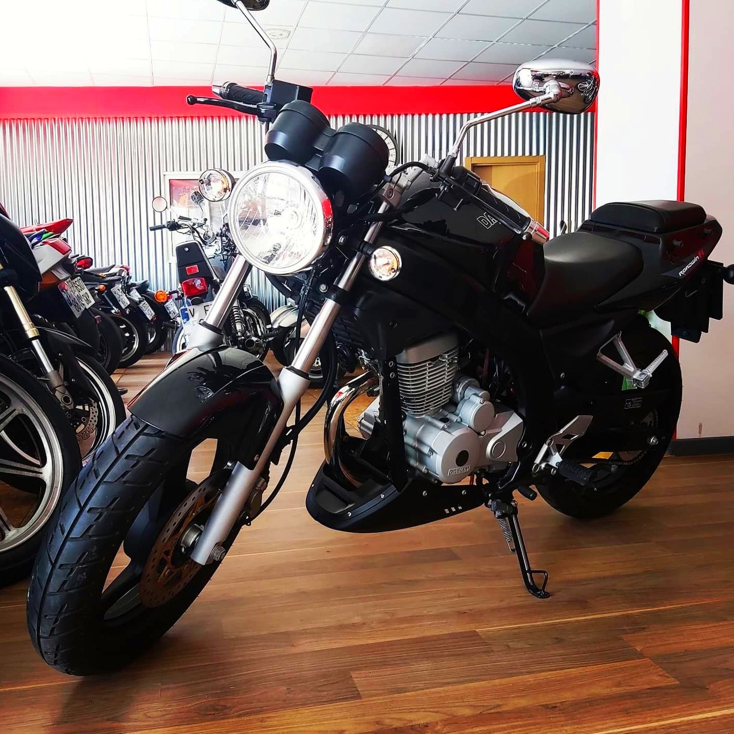 Laura: de Moto Fuchs Laura: de Moto Fuchs