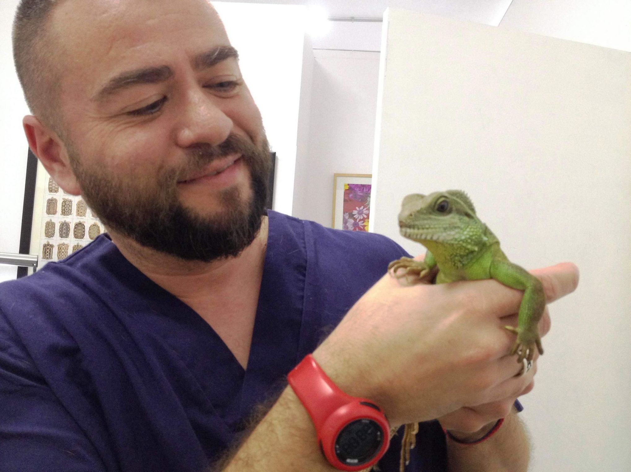 veterinario exótico en tenerife norte veterinario exótico en tenerife norte