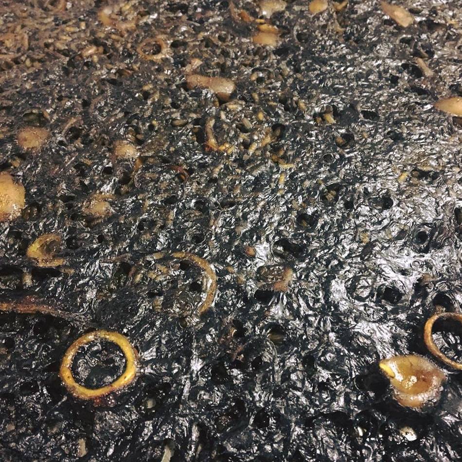 Cocina valenciana: Nuestros platos de Mesón Ca Rafel Cocina valenciana: Nuestros platos de Mesón Ca Rafel