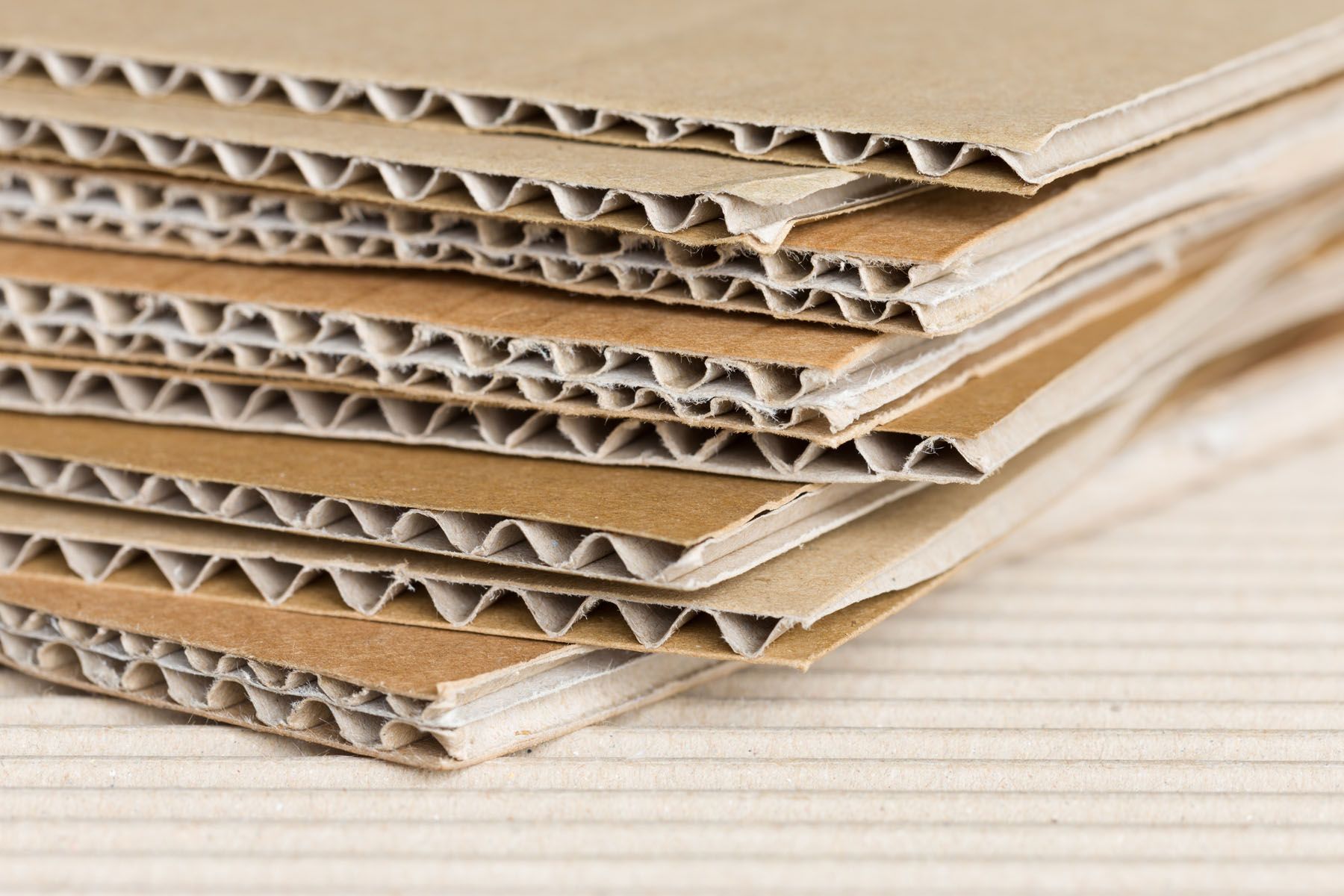 Cartón ondulado, cartón compacto y papel. Troquelado rotativo en diferentes soportes.