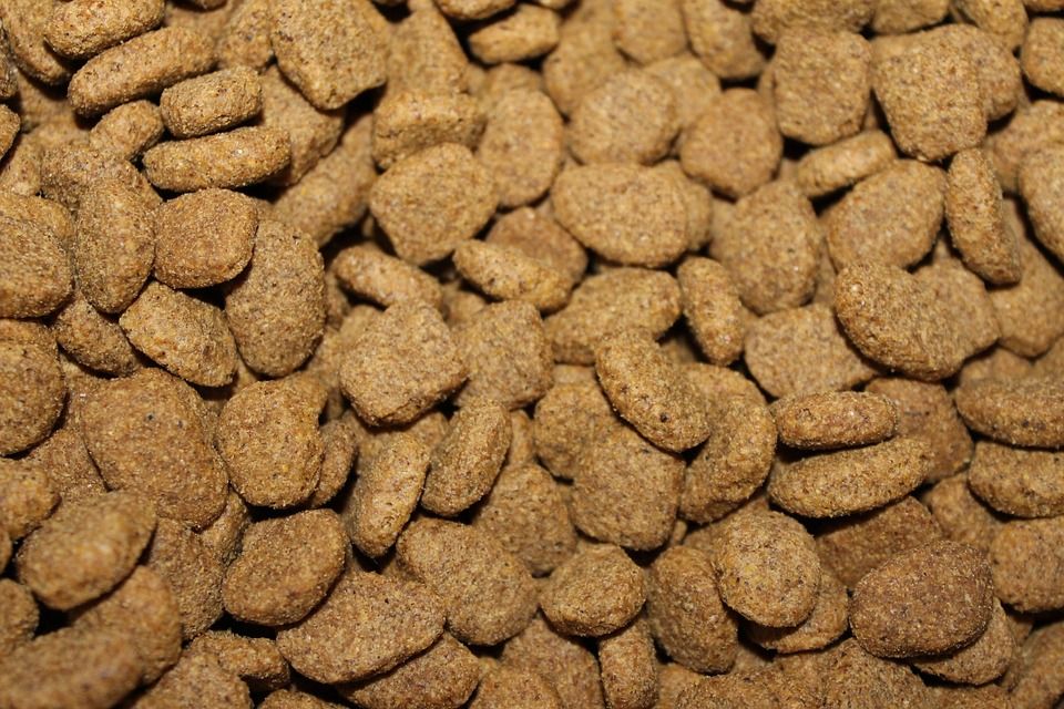 Alimentación de mascotas: Productos y Servicios de Mundo Mascota Alimentación de mascotas: Productos y Servicios de Mundo Mascota