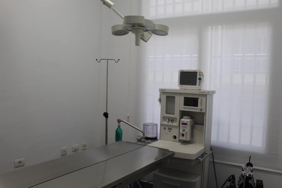 Medicina interna: Servicios Veterinarios de Centro Veterinario Antares Medicina interna: Servicios Veterinarios de Centro Veterinario Antares