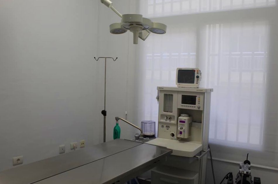 Alquiler de box veterinario: Servicios Veterinarios de Centro Veterinario Antares Alquiler de box veterinario: Servicios Veterinarios de Centro Veterinario Antares