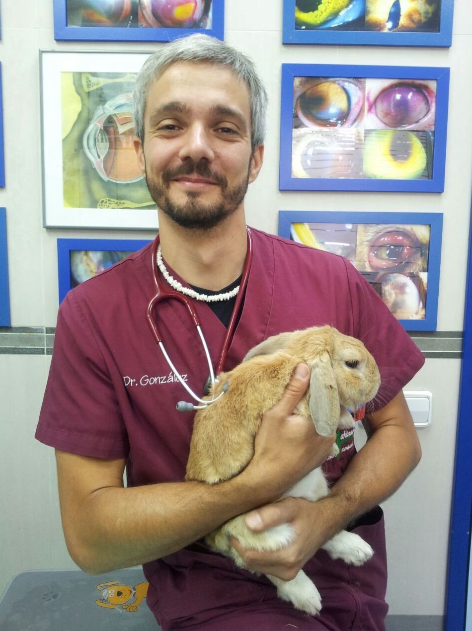 SERVICIO DE EXÓTICOS : Servicios Veterinarios de Centro Veterinario Antares SERVICIO DE EXÓTICOS : Servicios Veterinarios de Centro Veterinario Antares