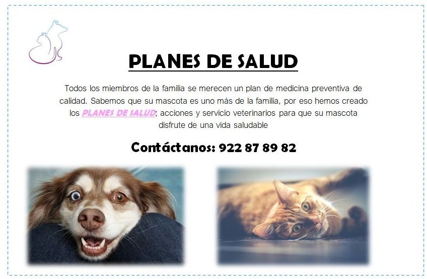 Planes de salud : Servicios Veterinarios de Centro Veterinario Antares Planes de salud : Servicios Veterinarios de Centro Veterinario Antares