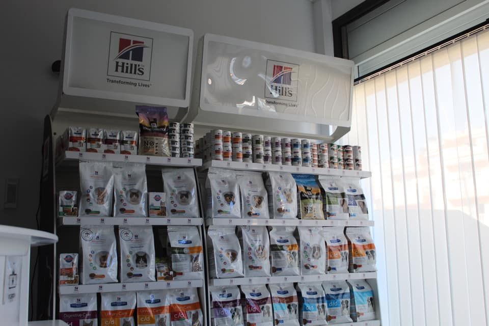 Nutricion canina y felina: Servicios Veterinarios de Centro Veterinario Antares Nutricion canina y felina: Servicios Veterinarios de Centro Veterinario Antares