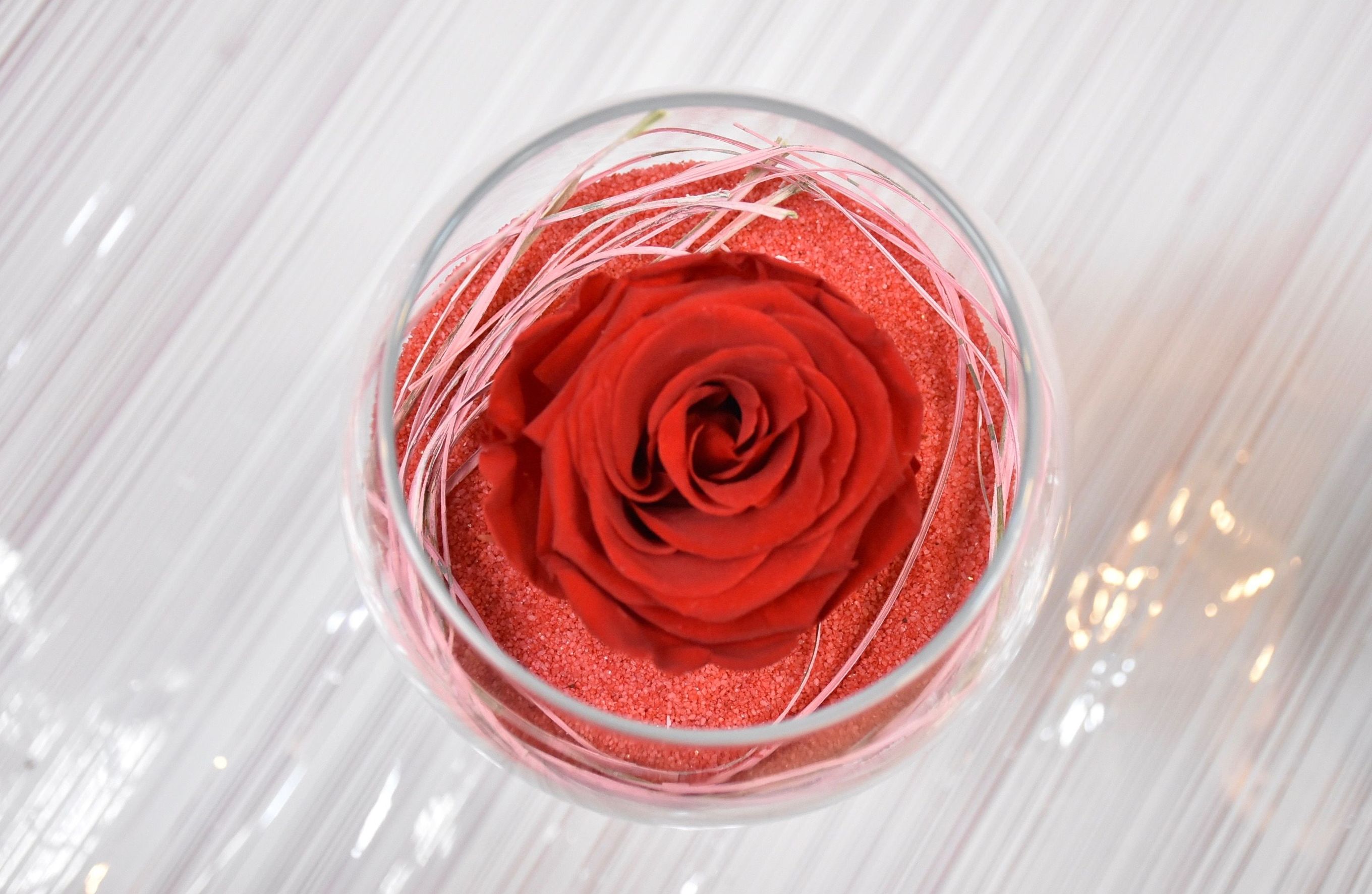 Rosa eterna en copa de cristal: Servicios de Floristería Contreras Rosa eterna en copa de cristal: Servicios de Floristería Contreras