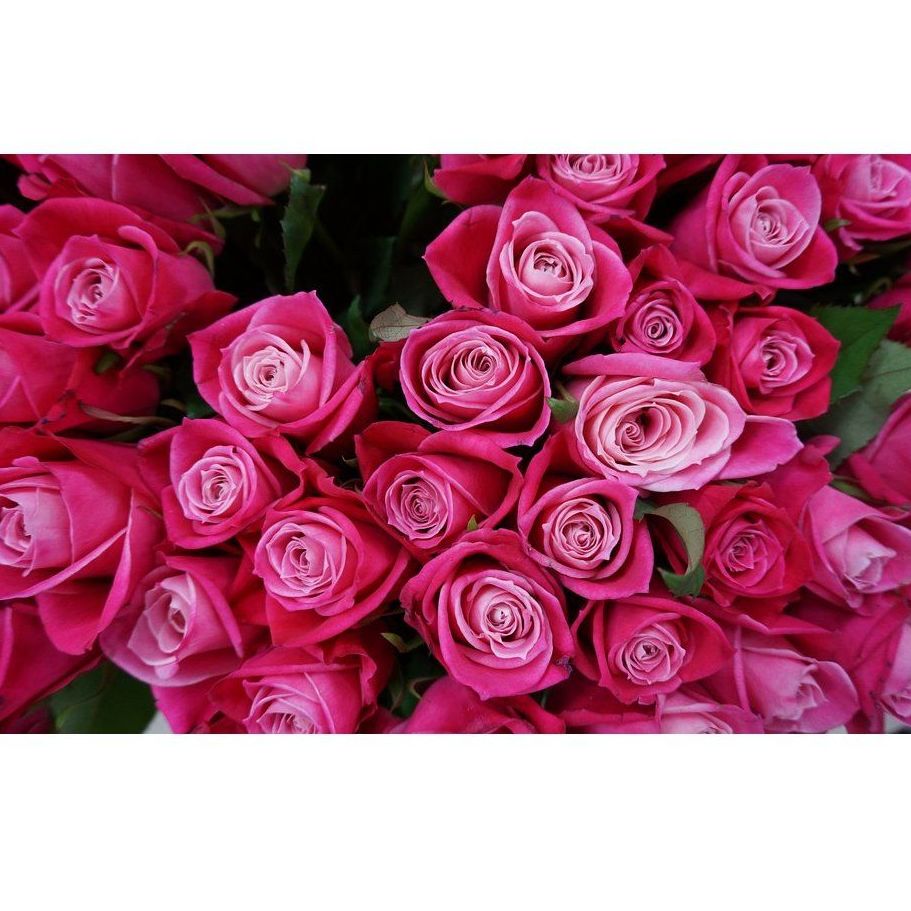 Flores: Servicios de Floristería Contreras Flores: Servicios de Floristería Contreras