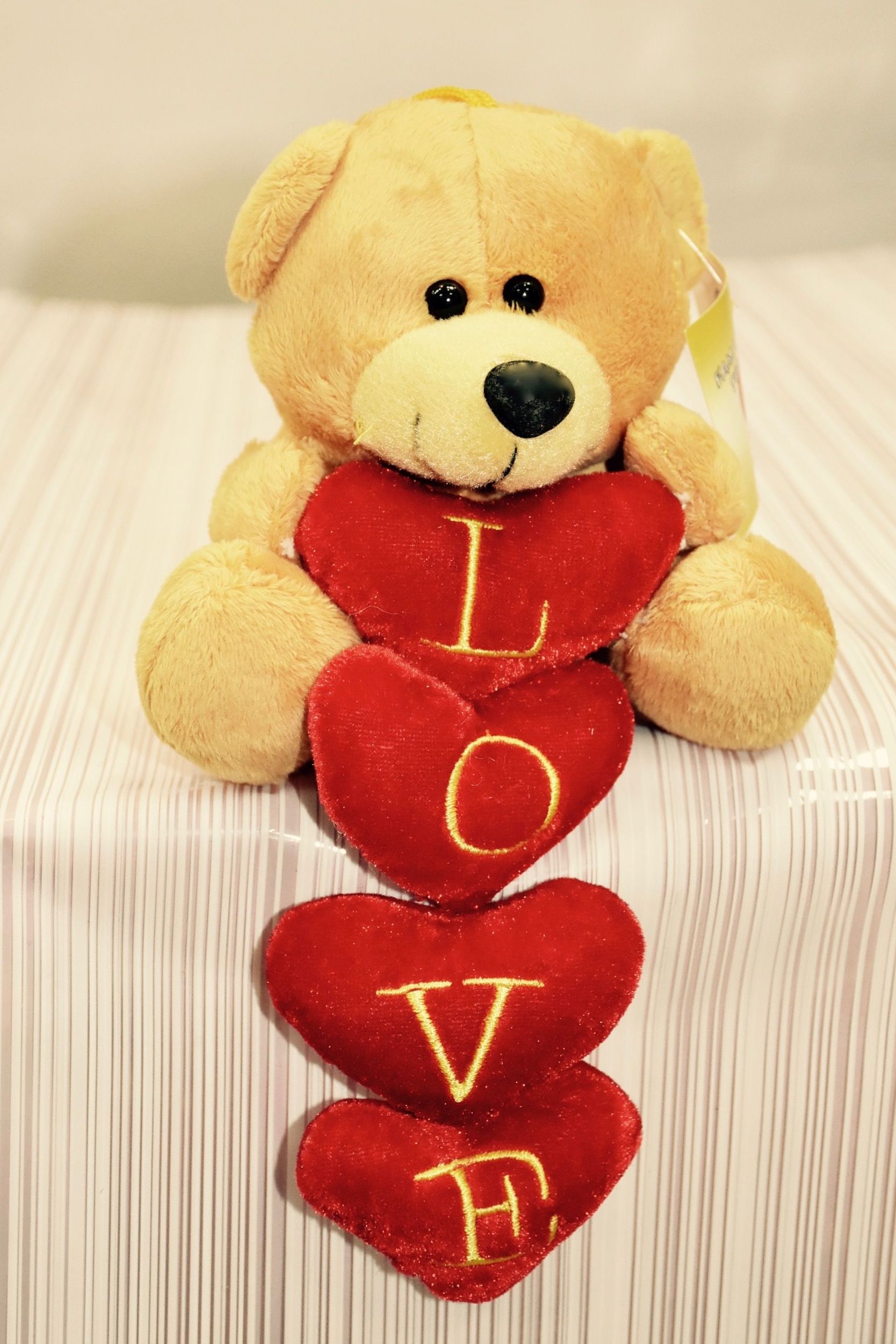 Osito de peluche Love: Servicios de Floristería Contreras Osito de peluche Love: Servicios de Floristería Contreras