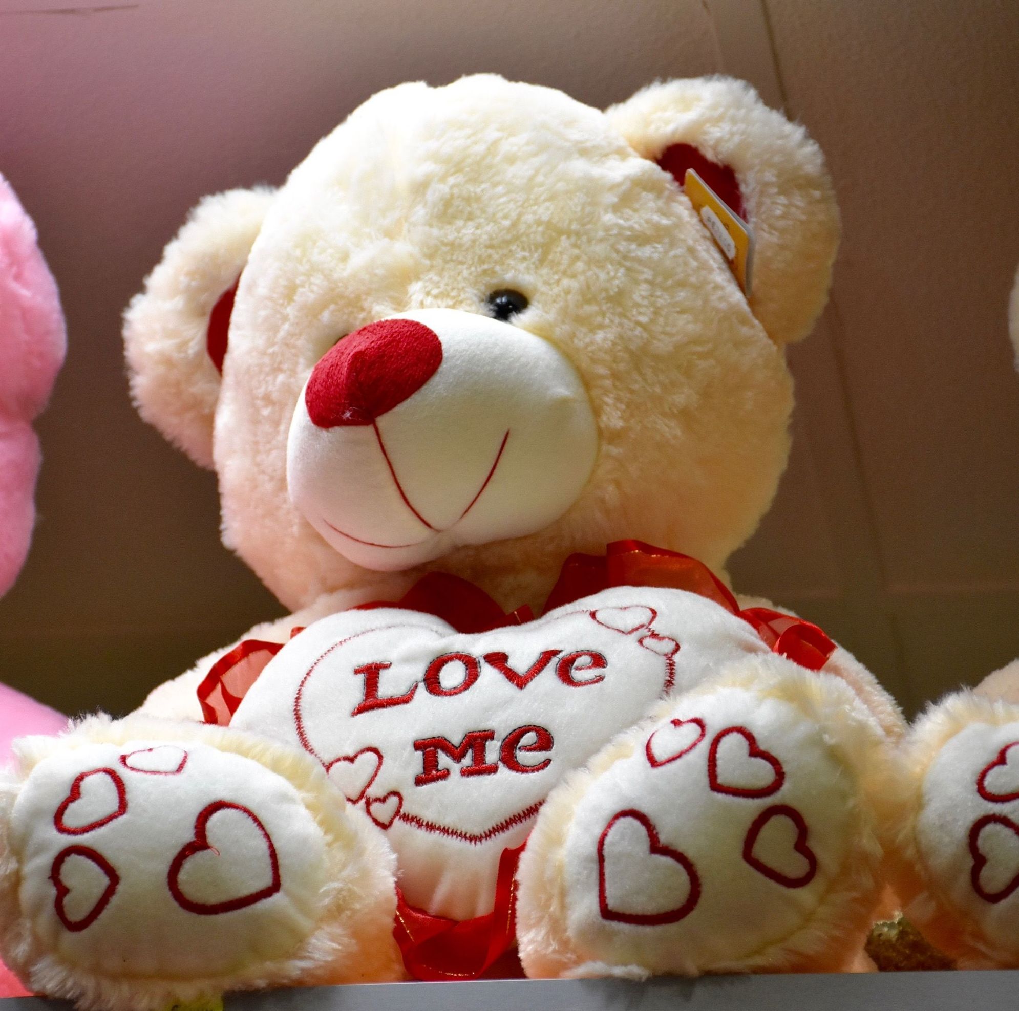 Peluches tamaño grande: Servicios de Floristería Contreras Peluches tamaño grande: Servicios de Floristería Contreras