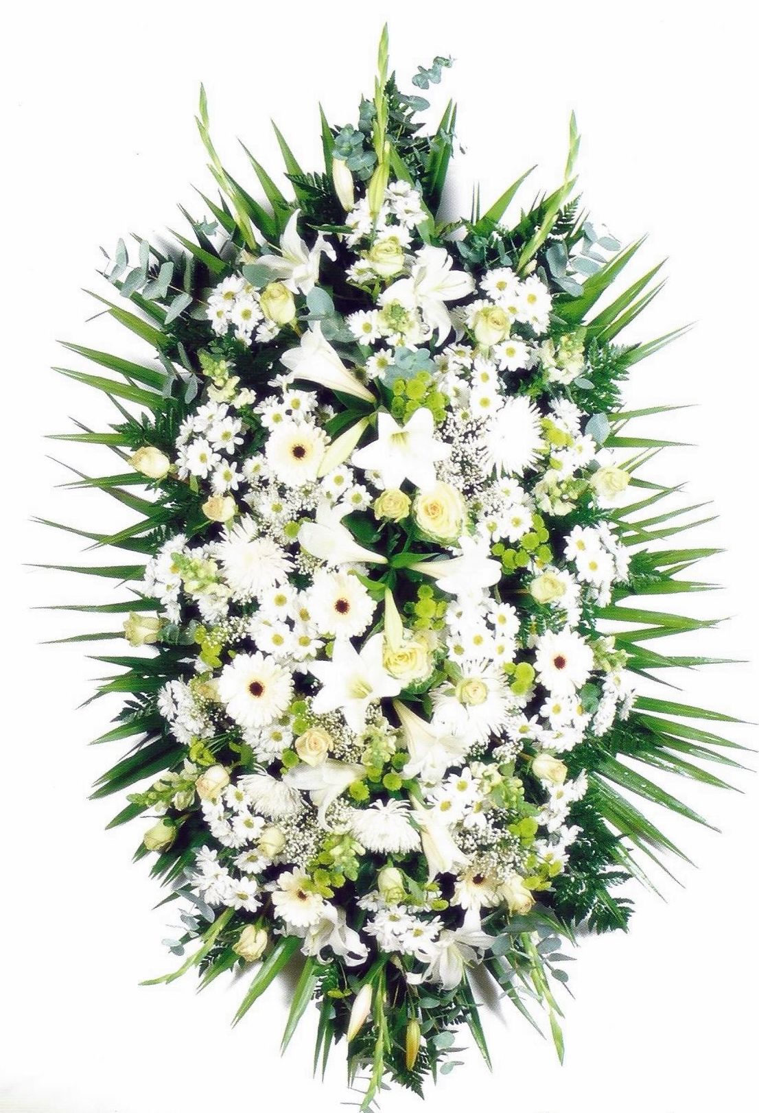 Centro Americano Blanco: Servicios de Floristería Contreras Centro Americano Blanco: Servicios de Floristería Contreras