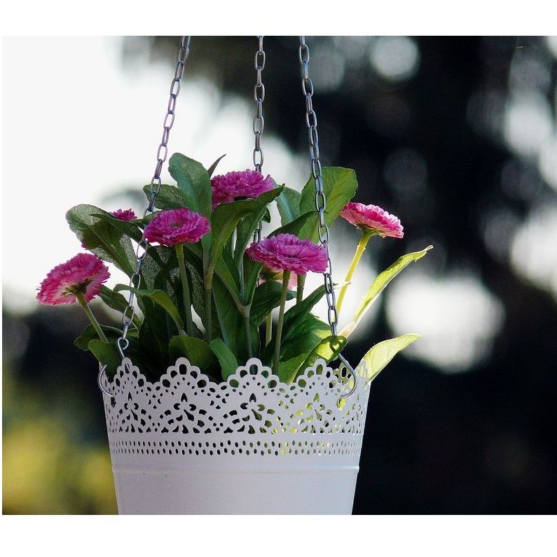 Accesorios : Servicios de Floristería Contreras Accesorios : Servicios de Floristería Contreras
