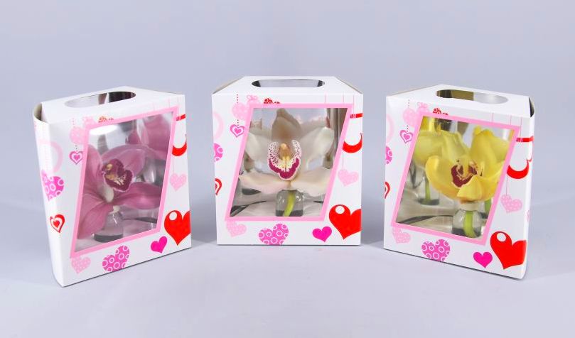 Orquídea de unidad en caja Orquídea de unidad en caja