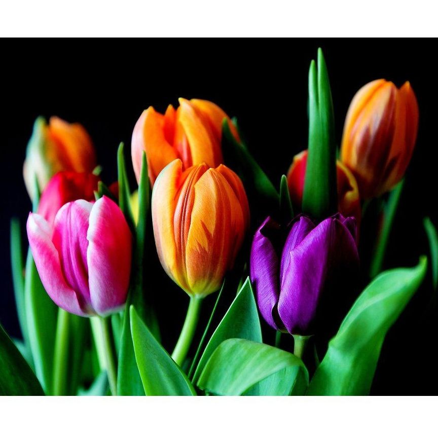 Flores: Servicios de Floristería Contreras Flores: Servicios de Floristería Contreras