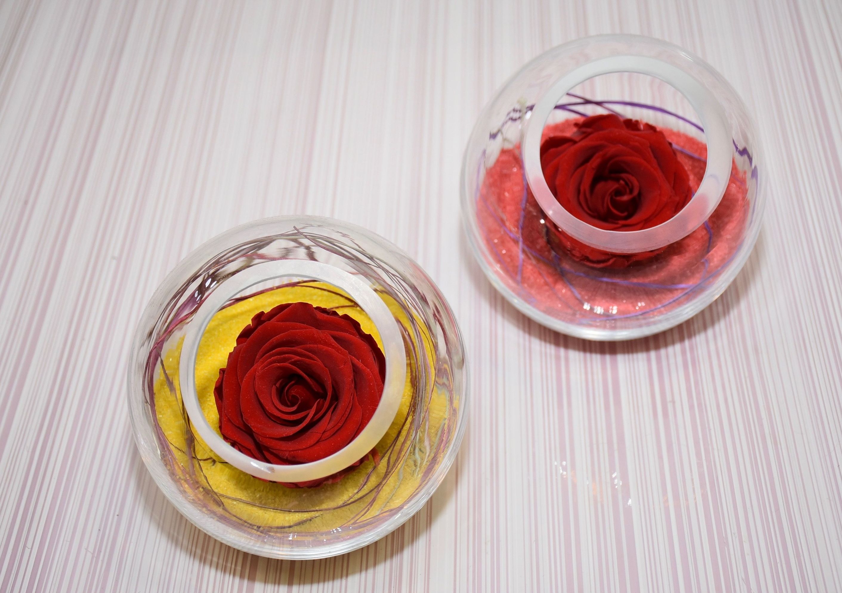 Rosa eterna pecera peq.: Servicios de Floristería Contreras Rosa eterna pecera peq.: Servicios de Floristería Contreras