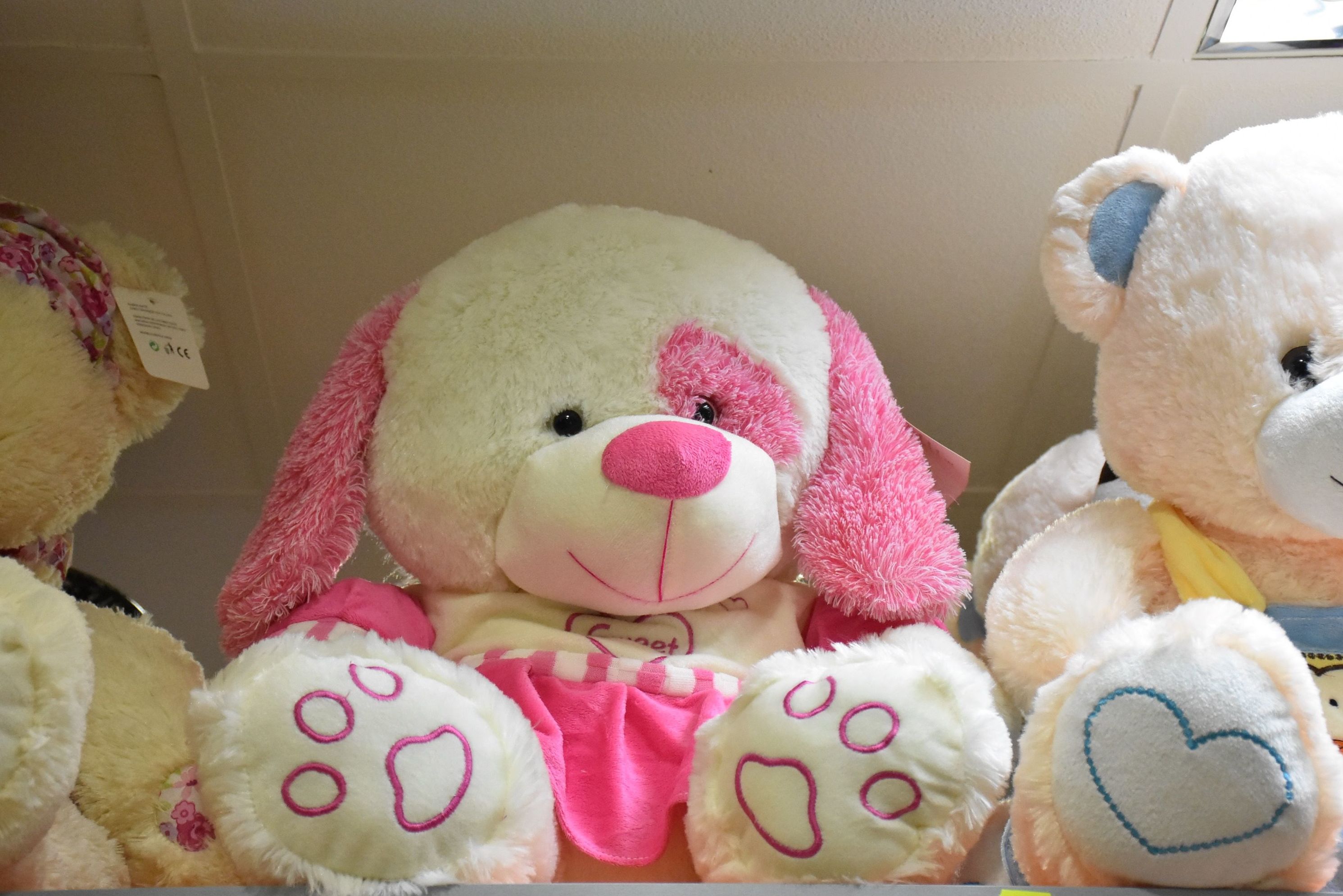 Peluches tamaño grande: Servicios de Floristería Contreras Peluches tamaño grande: Servicios de Floristería Contreras