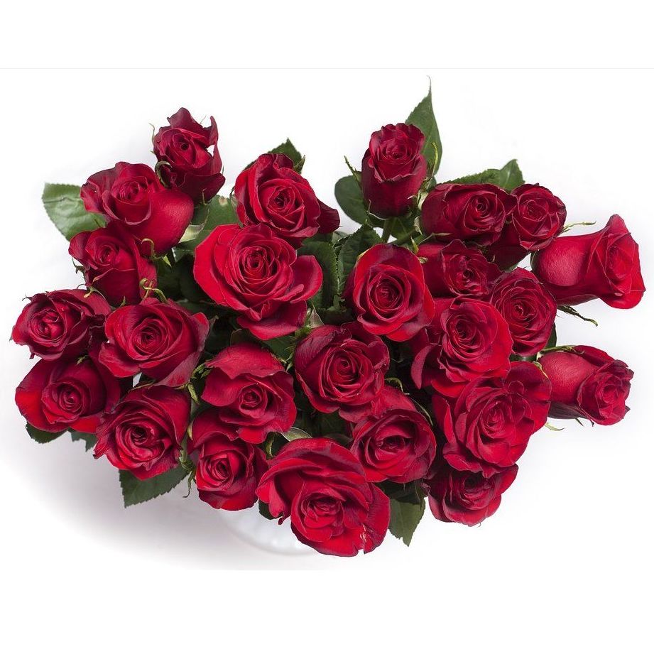 Flores: Servicios de Floristería Contreras Flores: Servicios de Floristería Contreras