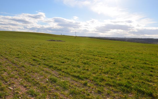 Valoraciones agrarias: Servicios de Asesores Agrarios Rifaterra Valoraciones agrarias: Servicios de Asesores Agrarios Rifaterra