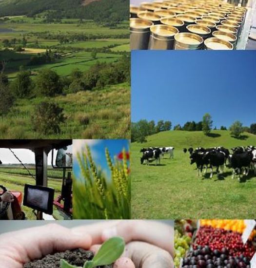 Tramitación y gestión de ayudas y subvenciones: Servicios de Asesores Agrarios Rifaterra Tramitación y gestión de ayudas y subvenciones: Servicios de Asesores Agrarios Rifaterra