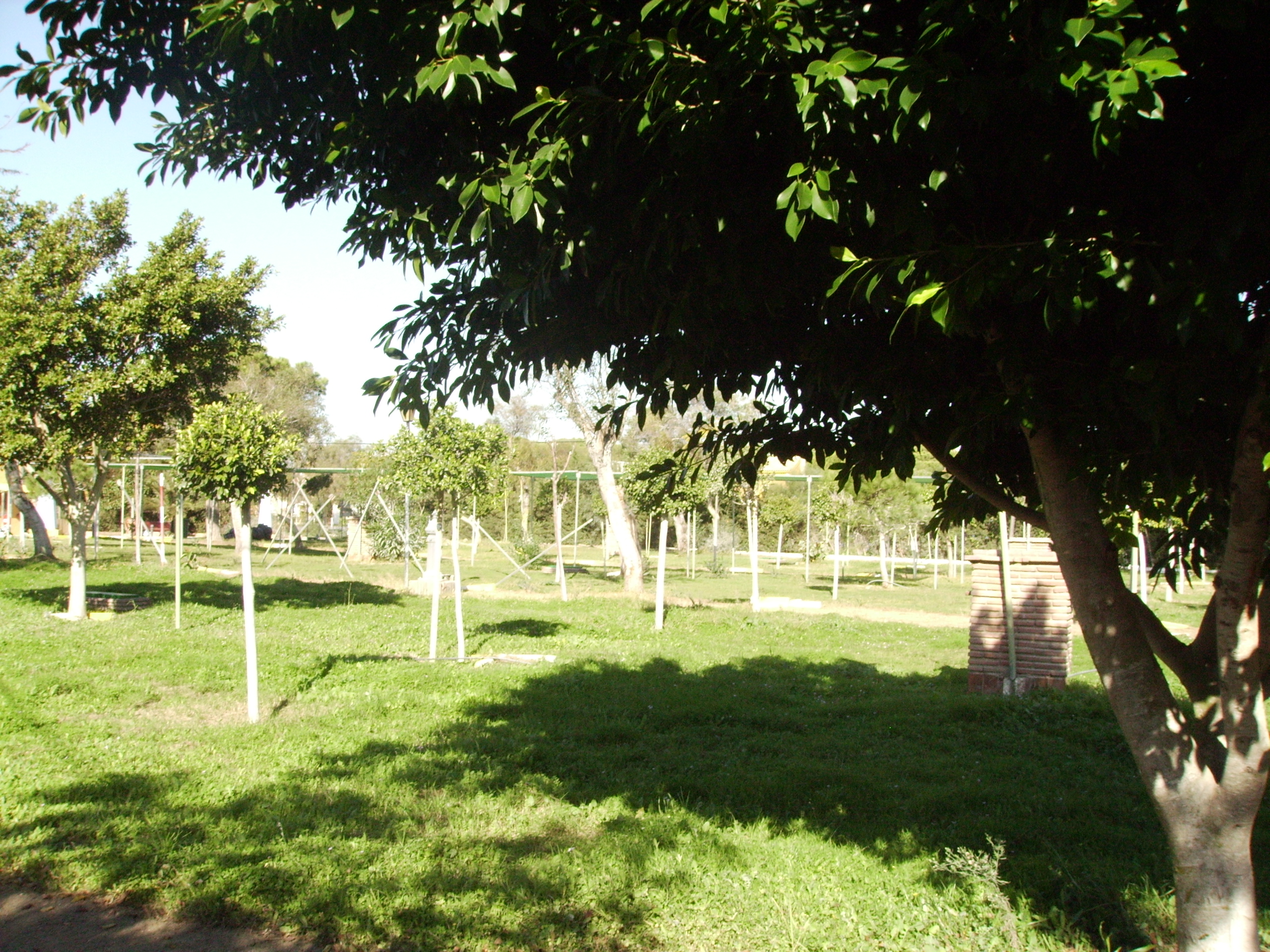 parcela 45m2 parcela 45m2